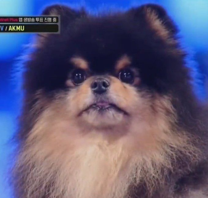 Yeontan V