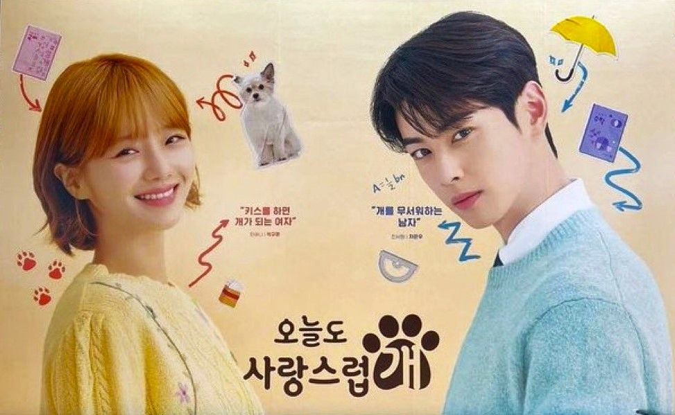 a good day to be a dog cha eun woo
