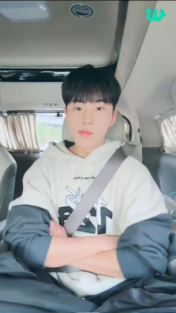 Hoshi Seventeen