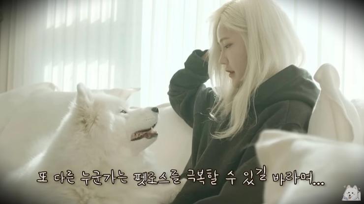 clonación perro corea