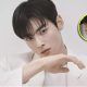 Cha Eun Woo Wonderful World
