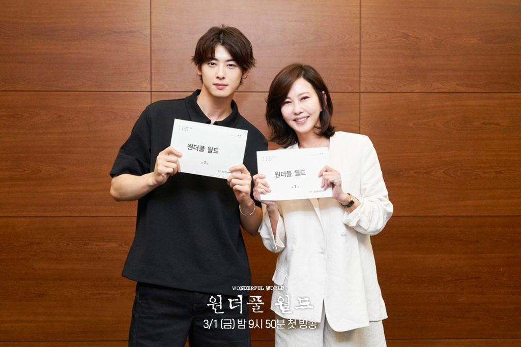 Cha Eun Woo Wonderful World 