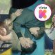 mejores K-dramas de JTBC