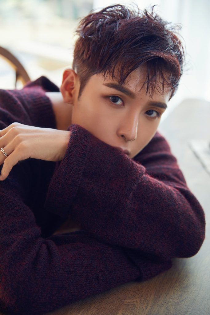 Ryeowook Ari 