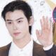 Cha Eun Woo beisbol
