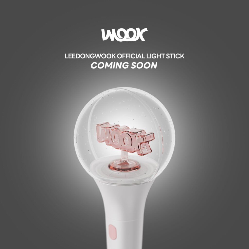lee dong wook light stick