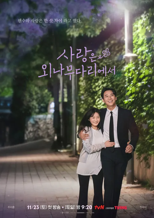 k-dramas noviembre 2024