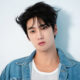 Ahn Bo Hyun K-drama