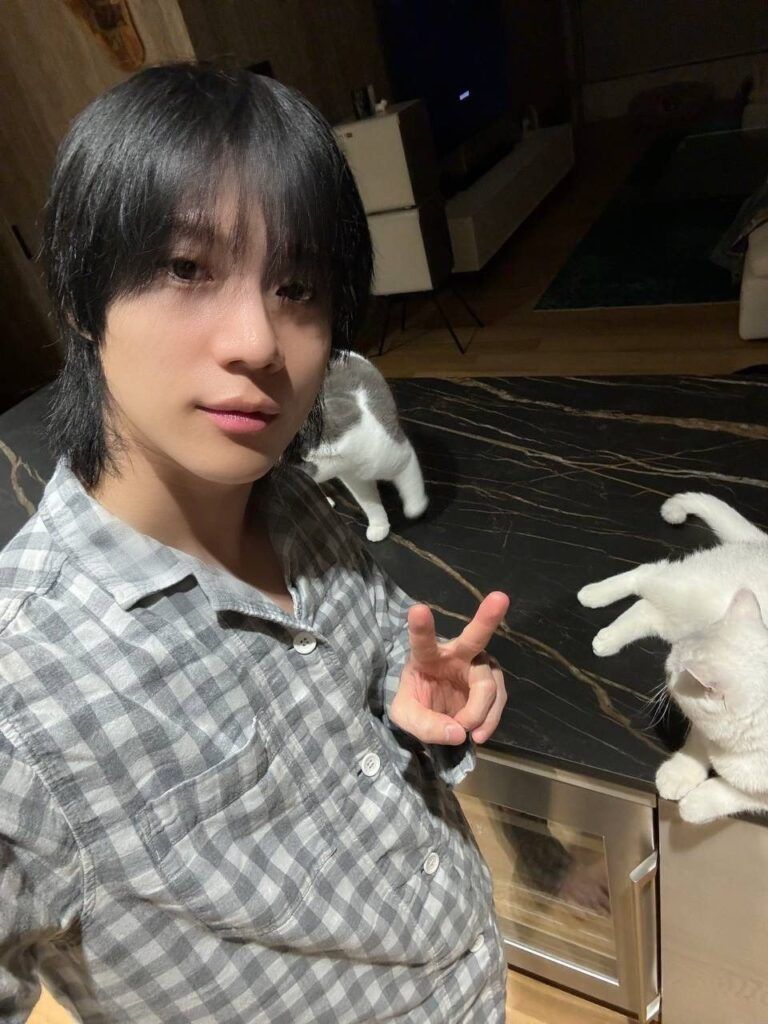 gato Taemin Daeng