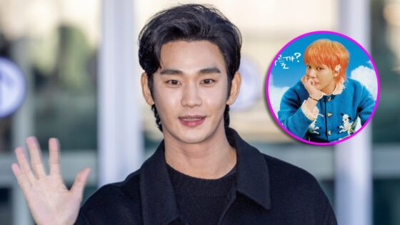 Good Day Kim Soo Hyun