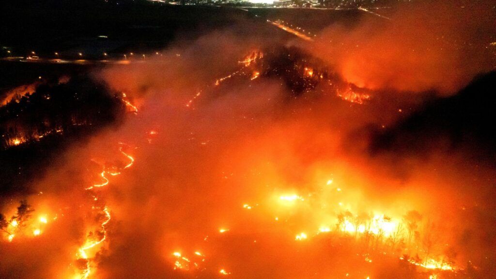 Corea Sur incendio forestal