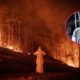 Corea Sur incendio forestal