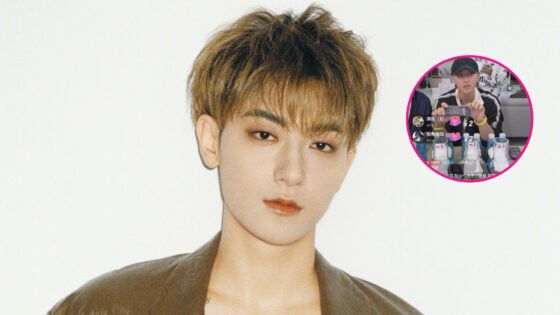 Tao EXO compresas femeninas