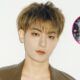 Tao EXO compresas femeninas