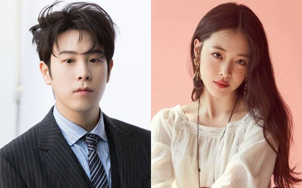 Sulli hermano 