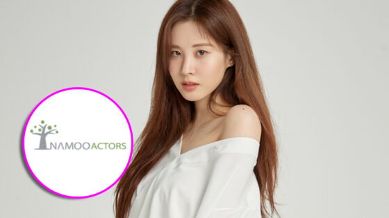 Seohyun Namoo Actors