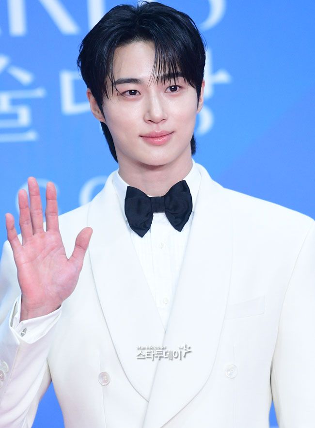 Baeksang 2025 alfombra roja 
