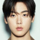 Sanha regreso