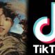 Seo Won Jeong TikTok
