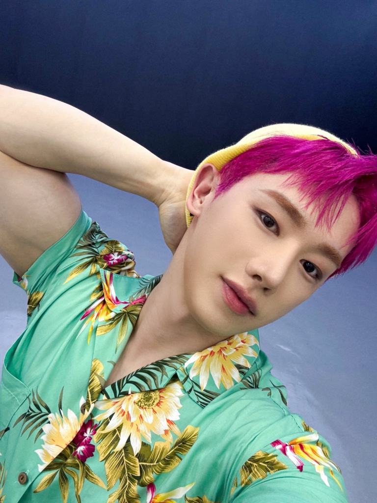 Wonho "Kpop Demon Hunters"