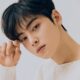 Cha Eun Woo servicio militar