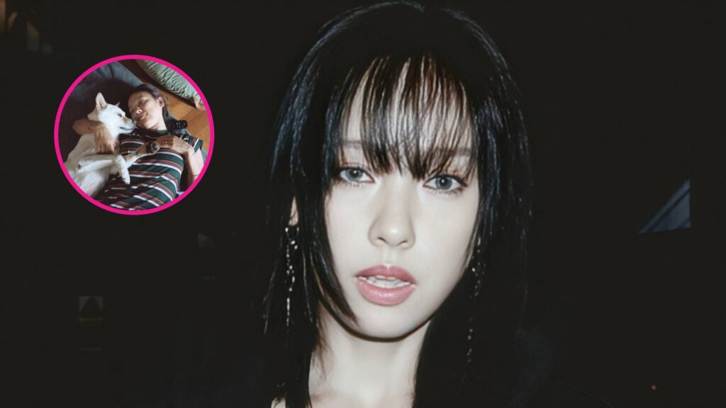 lee-hyori-fallecimiento-seok-sam-perrito-unniepop