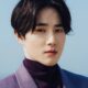 Suho regreso