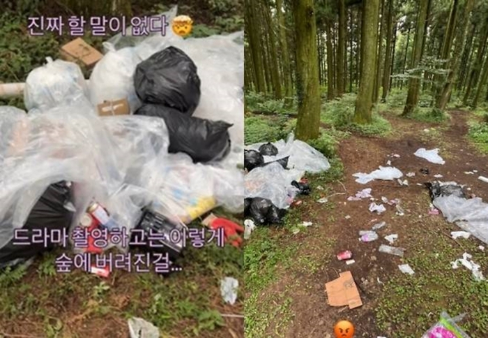 Delusion Jeju bosque