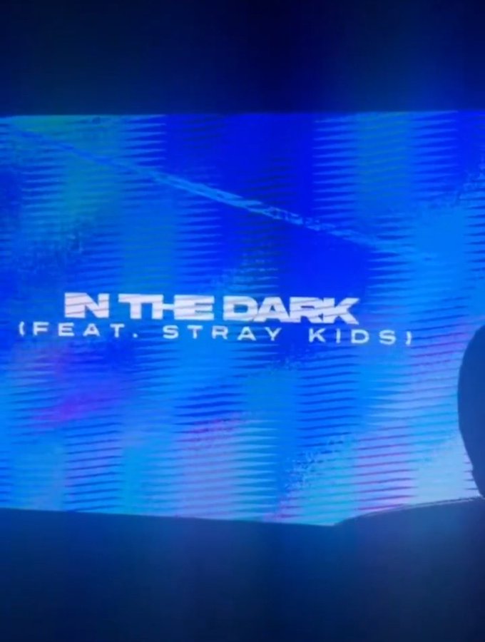 Stray Kids DJ Snake 