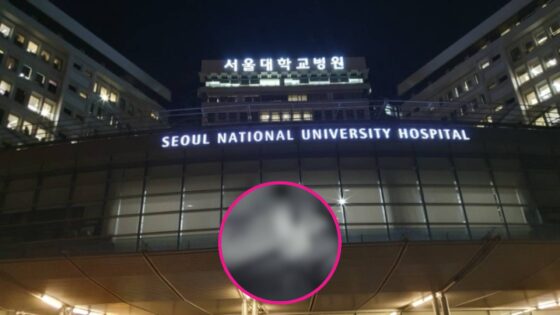 bebe-de-4-meses-fallece-tras-abuso-infantil-y-asesinato-en-corea-del-sur-unniepop