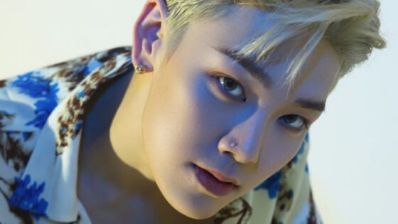Zelo pop latino
