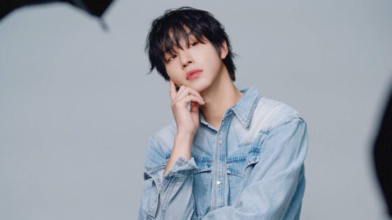 Ahn Hyo Seop idol