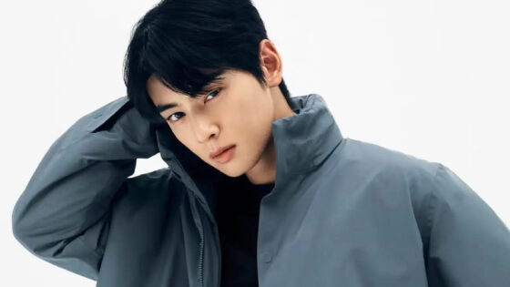 Cha Eun Woo controversia fiscal