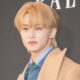 Mark NCT