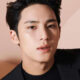Mingyu controversia tipo ideal